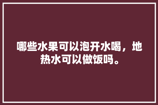 哪些水果可以泡开水喝，地热水可以做饭吗。