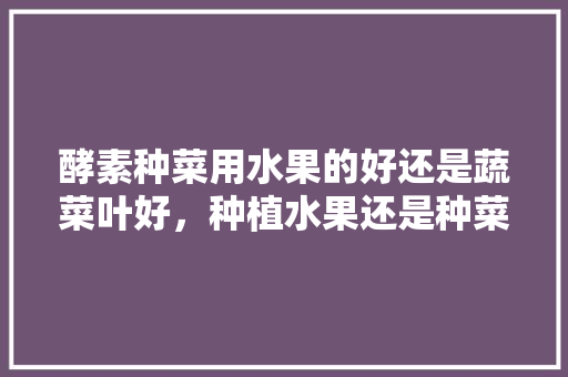 酵素种菜用水果的好还是蔬菜叶好，种植水果还是种菜好呢。