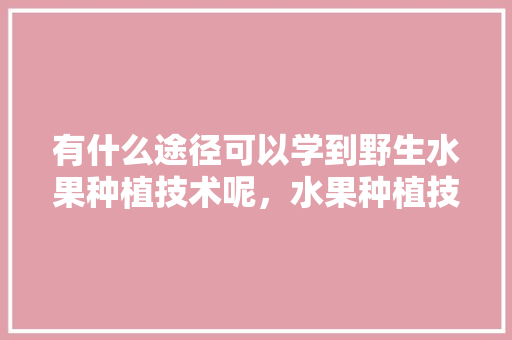 有什么途径可以学到野生水果种植技术呢，水果种植技术渠道有哪些。