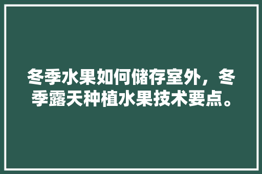 冬季水果如何储存室外，冬季露天种植水果技术要点。