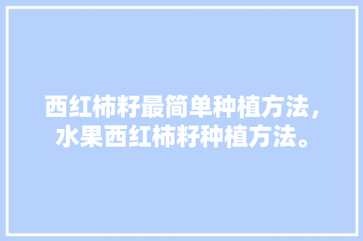 西红柿籽最简单种植方法，水果西红柿籽种植方法。