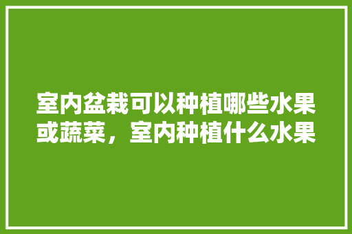 室内盆栽可以种植哪些水果或蔬菜，室内种植什么水果树最好养。