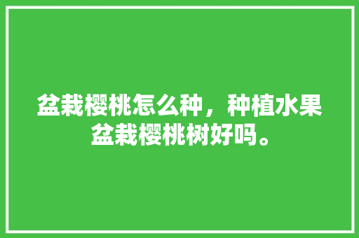 盆栽樱桃怎么种，种植水果盆栽樱桃树好吗。