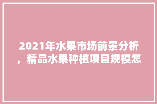 2021年水果市场前景分析，精品水果种植项目规模怎么写。