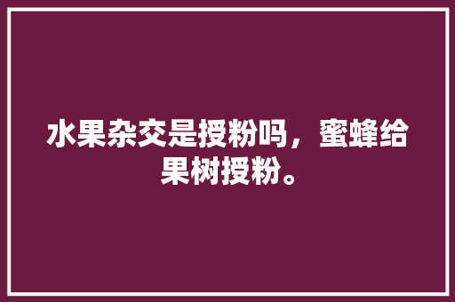 水果杂交是授粉吗，蜜蜂给果树授粉。