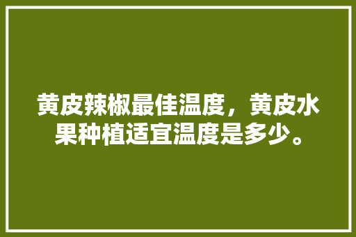 黄皮辣椒最佳温度，黄皮水果种植适宜温度是多少。