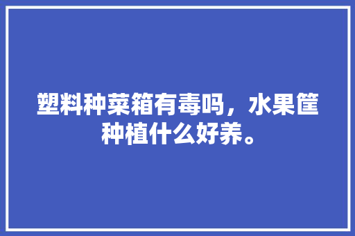 塑料种菜箱有毒吗，水果筐种植什么好养。