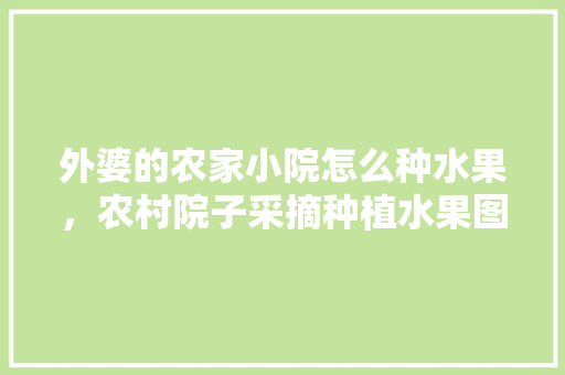 外婆的农家小院怎么种水果，农村院子采摘种植水果图片。