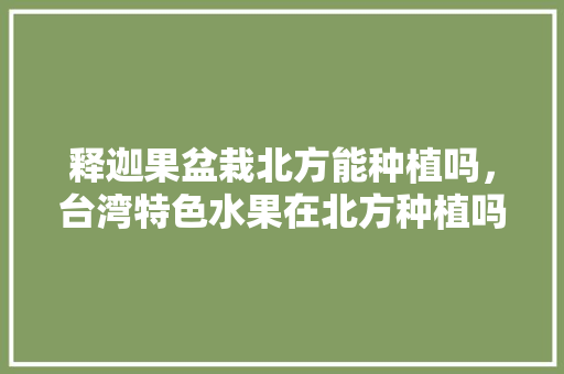 释迦果盆栽北方能种植吗，台湾特色水果在北方种植吗。