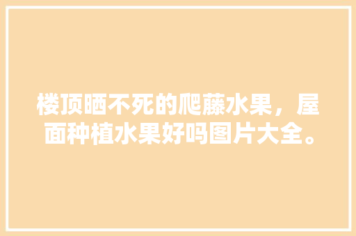 楼顶晒不死的爬藤水果，屋面种植水果好吗图片大全。 土壤施肥