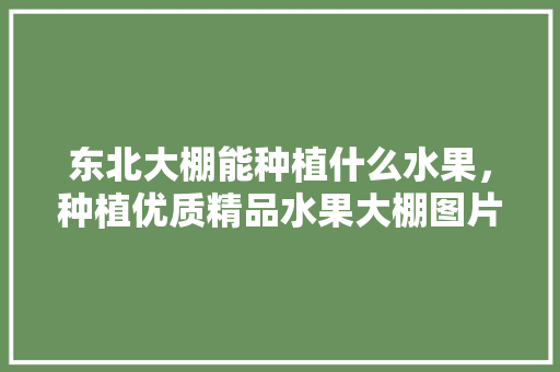 东北大棚能种植什么水果，种植优质精品水果大棚图片。