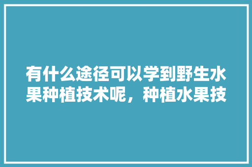 有什么途径可以学到野生水果种植技术呢，种植水果技术好学么。