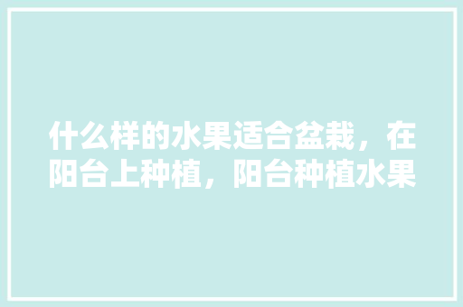 什么样的水果适合盆栽，在阳台上种植，阳台种植水果的图片大全。