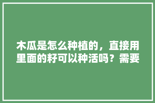 木瓜是怎么种植的，直接用里面的籽可以种活吗？需要注意什么，水果木瓜种植苗图片。