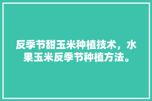 反季节甜玉米种植技术，水果玉米反季节种植方法。