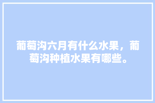 葡萄沟六月有什么水果，葡萄沟种植水果有哪些。