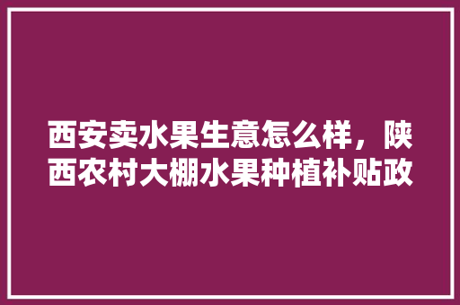 西安卖水果生意怎么样，陕西农村大棚水果种植补贴政策。