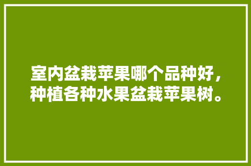 室内盆栽苹果哪个品种好，种植各种水果盆栽苹果树。