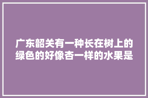 广东韶关有一种长在树上的绿色的好像杏一样的水果是什么水果，韶关各县水果种植面积排名。