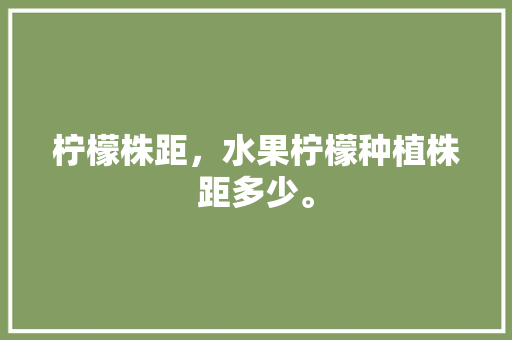 柠檬株距，水果柠檬种植株距多少。