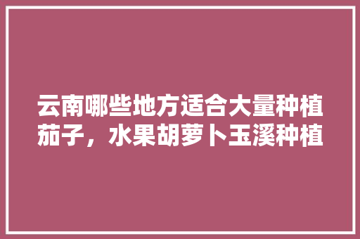 云南哪些地方适合大量种植茄子，水果胡萝卜玉溪种植视频。 云南哪些地方适合大量种植茄子，水果胡萝卜玉溪种植视频。 家禽养殖