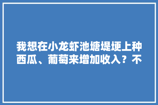 我想在小龙虾池塘堤埂上种西瓜、葡萄来增加收入？不知道可行不，水塘种植水果有哪些。