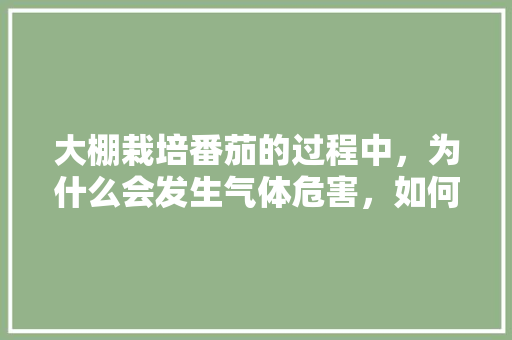 大棚栽培番茄的过程中，为什么会发生气体危害，如何识别防治，大棚种植的水果坏处有哪些。 水果种植