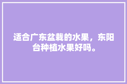 适合广东盆栽的水果，东阳台种植水果好吗。