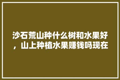 沙石荒山种什么树和水果好，山上种植水果赚钱吗现在。