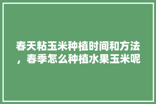 春天粘玉米种植时间和方法，春季怎么种植水果玉米呢。