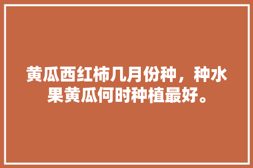 黄瓜西红柿几月份种，种水果黄瓜何时种植最好。