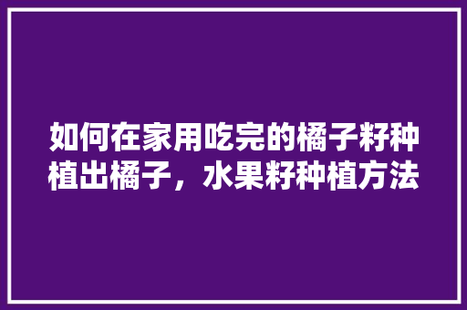 如何在家用吃完的橘子籽种植出橘子，水果籽种植方法盆栽视频。 如何在家用吃完的橘子籽种植出橘子，水果籽种植方法盆栽视频。 土壤施肥