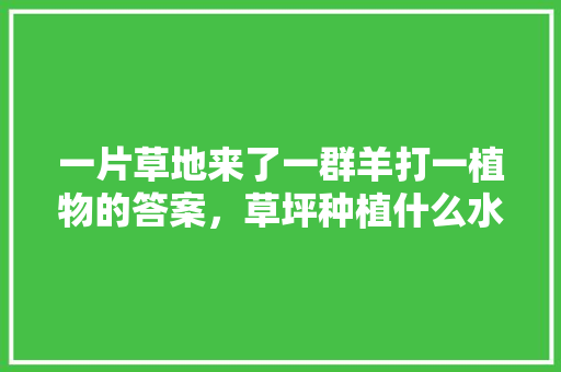 一片草地来了一群羊打一植物的答案，草坪种植什么水果最好。