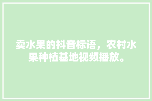 卖水果的抖音标语，农村水果种植基地视频播放。