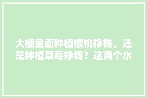 大棚里面种植樱桃挣钱，还是种植草莓挣钱？这两个水果哪个效益高，私人水果种植视频大全。