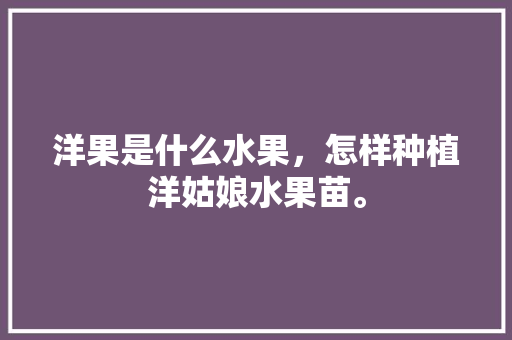 洋果是什么水果，怎样种植洋姑娘水果苗。