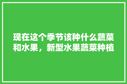 现在这个季节该种什么蔬菜和水果，新型水果蔬菜种植技术。