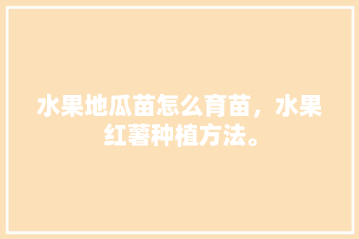 水果地瓜苗怎么育苗，水果红薯种植方法。 水果种植