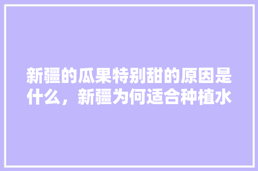 新疆的瓜果特别甜的原因是什么，新疆为何适合种植水果呢。 水果种植