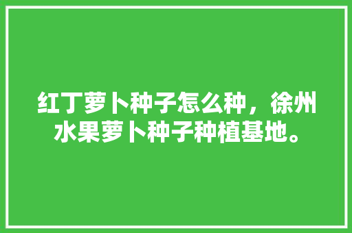 红丁萝卜种子怎么种，徐州水果萝卜种子种植基地。 畜牧养殖