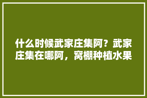 什么时候武家庄集阿？武家庄集在哪阿，窝棚种植水果有哪些。 土壤施肥