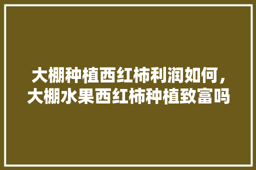 大棚种植西红柿利润如何，大棚水果西红柿种植致富吗。 土壤施肥