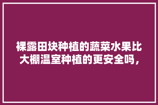 裸露田块种植的蔬菜水果比大棚温室种植的更安全吗，山地水果种植大棚图片大全。 蔬菜种植