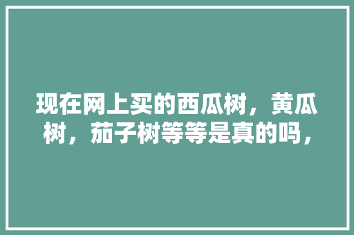 现在网上买的西瓜树，黄瓜树，茄子树等等是真的吗，水果黄瓜种植骗局曝光视频。 蔬菜种植