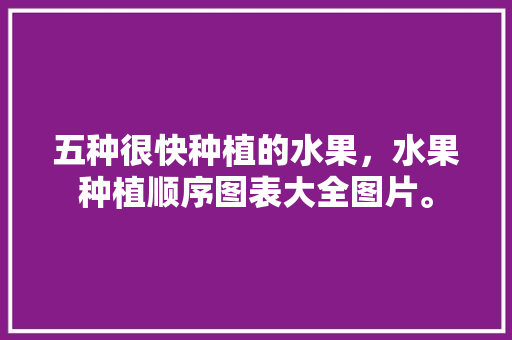 五种很快种植的水果，水果种植顺序图表大全图片。 水果种植