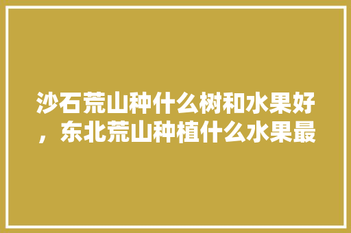 沙石荒山种什么树和水果好，东北荒山种植什么水果最好。 蔬菜种植