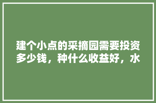 建个小点的采摘园需要投资多少钱，种什么收益好，水果种植采摘产业有哪些。 建个小点的采摘园需要投资多少钱，种什么收益好，水果种植采摘产业有哪些。 水果种植