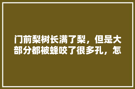 门前梨树长满了梨，但是大部分都被蜂咬了很多孔，怎么治，梨树水果种植技术大全视频。 畜牧养殖