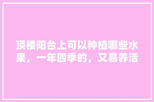 顶楼阳台上可以种植哪些水果，一年四季的，又易养活的，农民夏季种植的水果有哪些。 水果种植