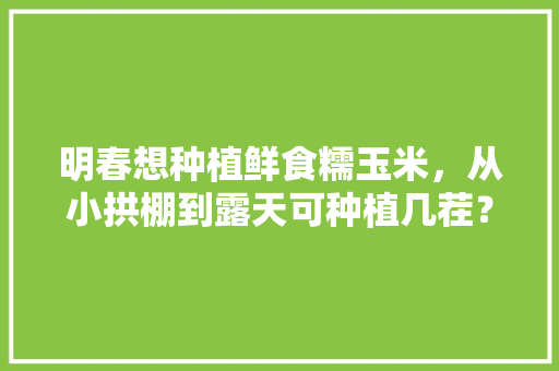 明春想种植鲜食糯玉米，从小拱棚到露天可种植几茬？什么品种好，露天种植水果玉米可以吗。 家禽养殖